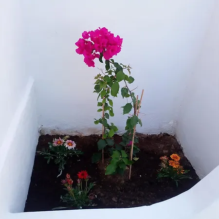 Thea Serifos 3* Livadákia