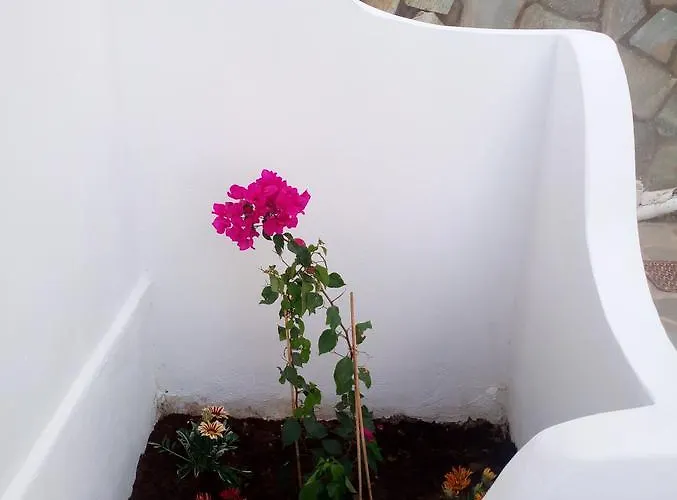 בית הארחה Thea Serifos 3*