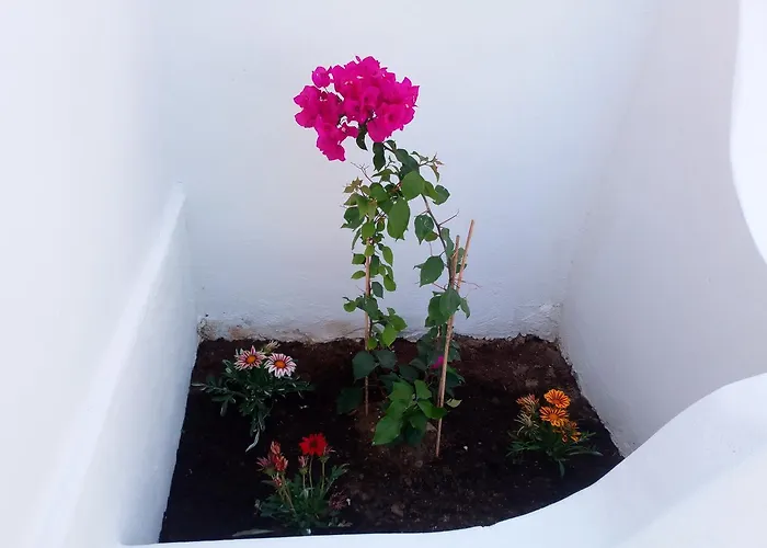 Thea Serifos 3* Livadakia